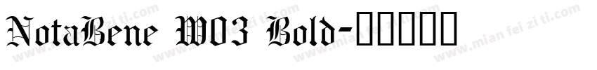 NotaBene W03 Bold字体转换